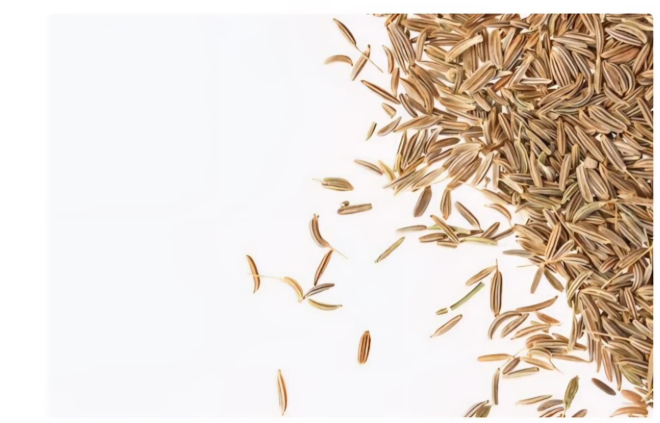 Cumin Seeds